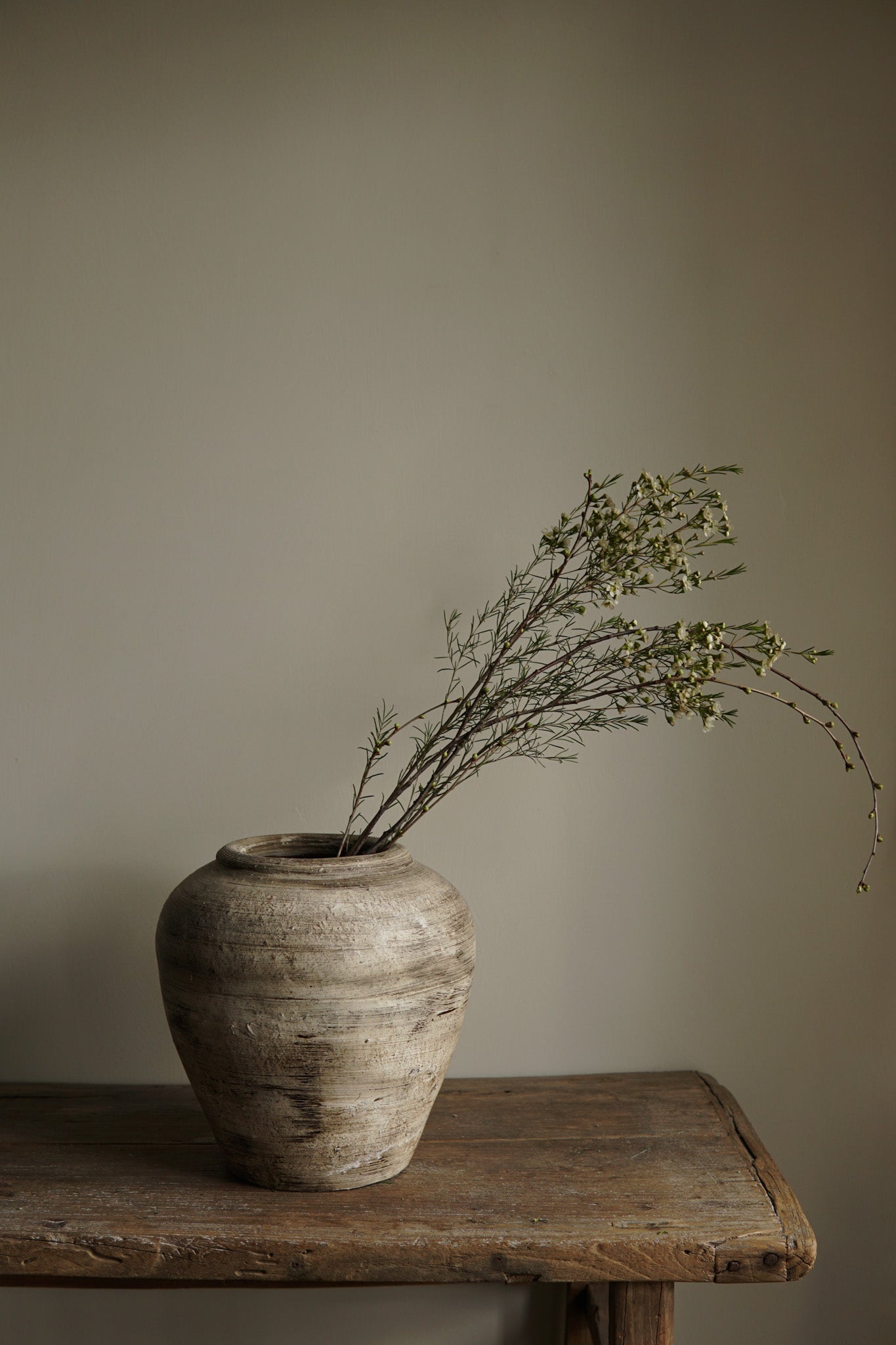 TERRACOTTA VASE MISS ROZI